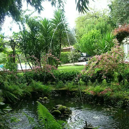 Casa Com Piscina, Cabeceiras De Basto By Mystay بيت للعطل